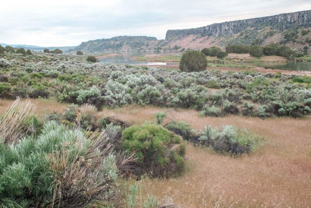 Massacre Rocks The Best Idaho Campgrounds - Massacre Rocks State Park
