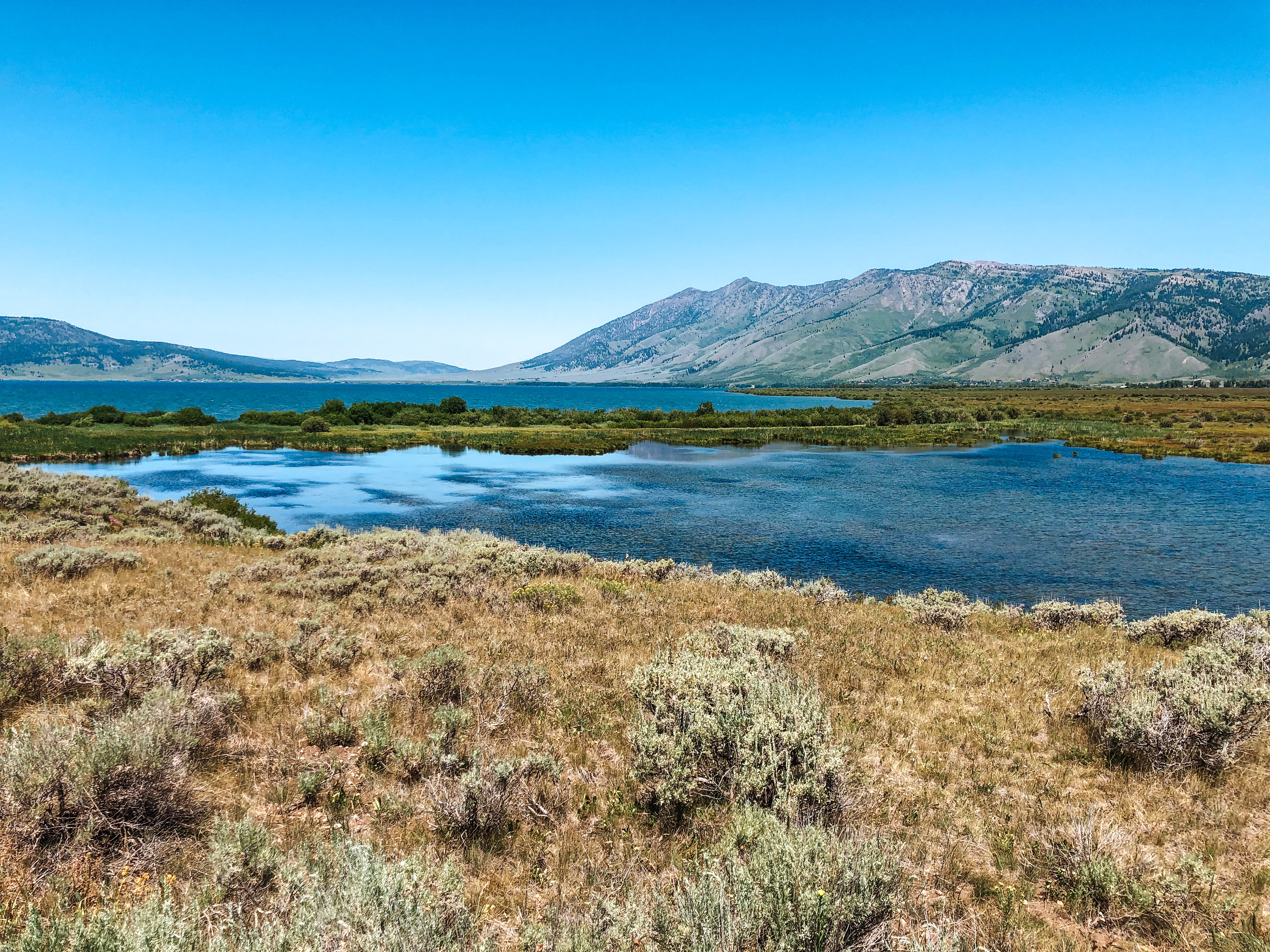 A wide-angle view of Henrys Lake at the inlet to the lake, from hiking trails that lead out from Idaho's Henrys Lake State Park. Reeds and other marshland vegetation grows in the foreground, and the Targhee National Forest and mountain range are visible in the distance.
