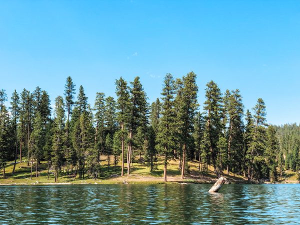 A wide-angle view of Oregon's Magone Lake, near John Day, Oregon. Enormous pine trees overshadow the walking path that encircles the lake.