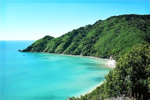 A view from the top of the first ridge of the Abel Tasman National Park trail. The trail carves out a deep section of the hillside as it wraps around the top of the hill.