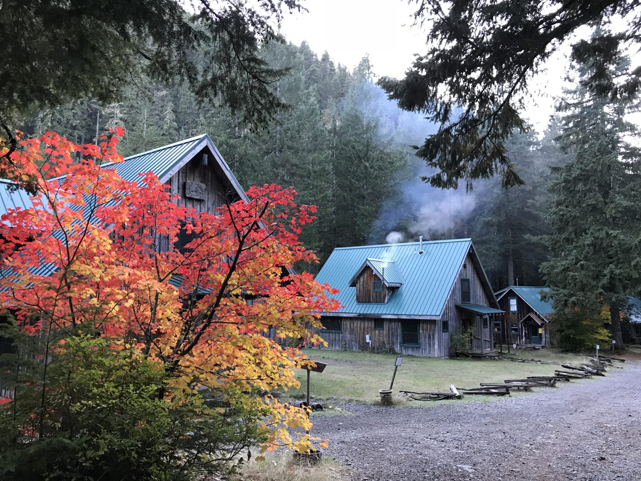 Oregon Life - Road Trips Oregon. The Ancient Forest Center at Opal Creek, Oregon, in the Opal Creek Wilderness. Historic cabins at Opal Creek can be reserved and rented. Changing fall leaves in the foreground contrast with the green tin roofs of the cabins, with smoke swirling above them at dusk in the mountains.