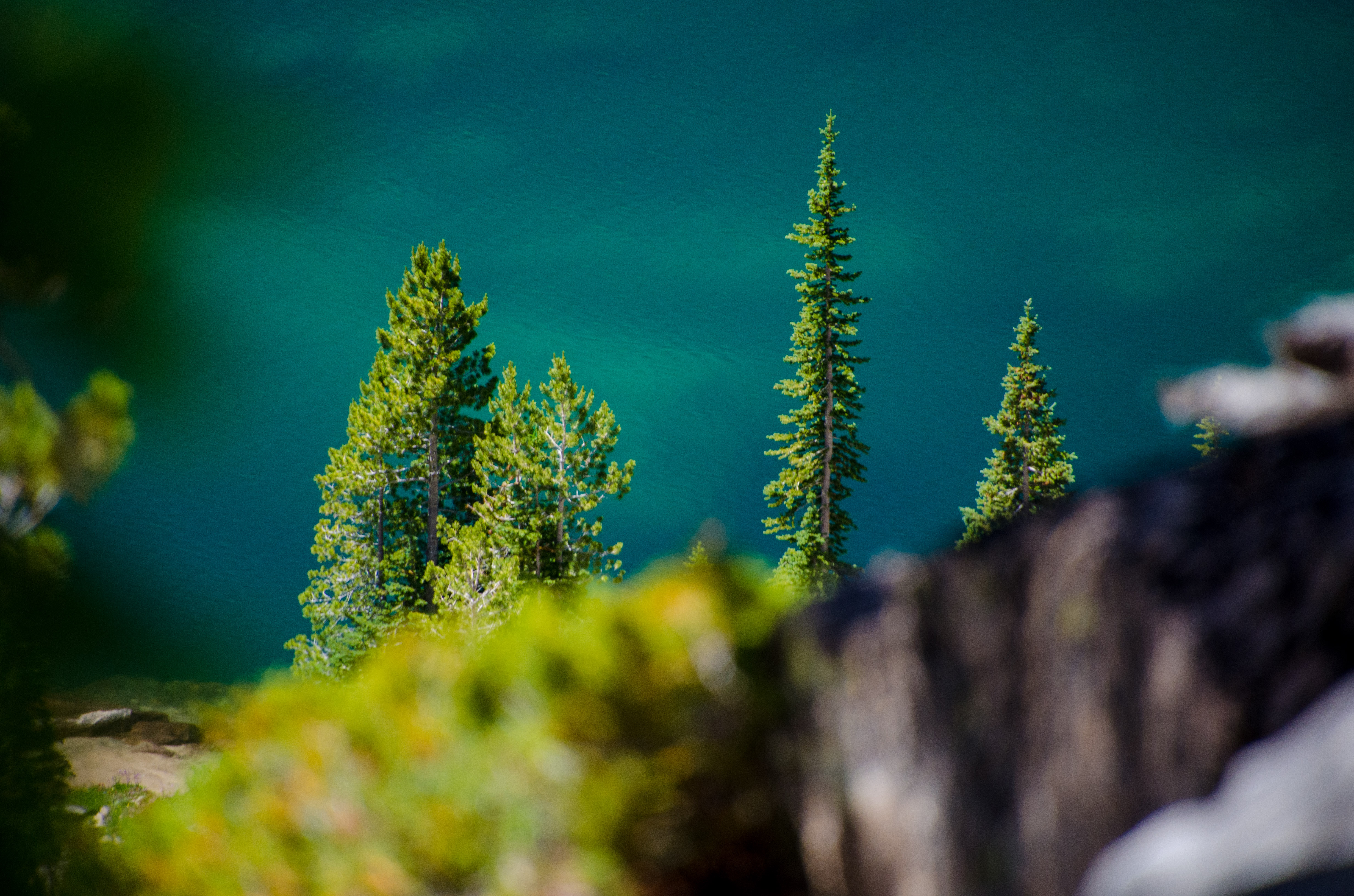 A view of alpine trees along the shore of upper Baron Lake in Idaho's Sawtooth National Recreation Area.